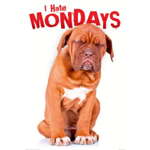 Poster - I Hate Mondays