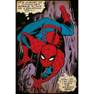 Poster - Spiderman (comics)