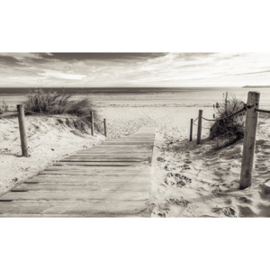Fototapet: Plajă (alb-negru) - 104x152,5 cm