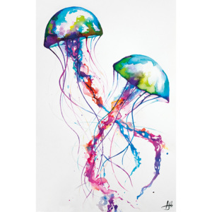 Marc Allante - Jellyfish Poster, (61 x 91,5 cm)