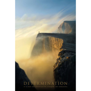 Poster - Determination