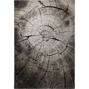 Covor Modern & Geometric Wild Oak, Maro, 80x150