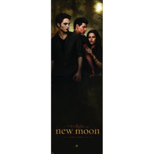 Poster - Twilight New Moon-Woods