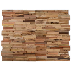 Panouri placare pereți 1m², 10 buc., lemn de tec reciclat
