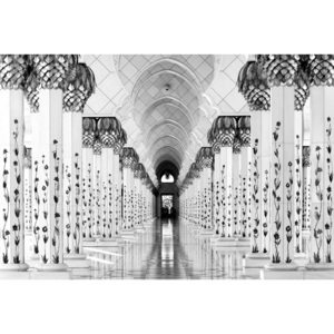 Fotografii artistice Sheik Zayed Mosque, Hans-Wolfgang Hawerkamp