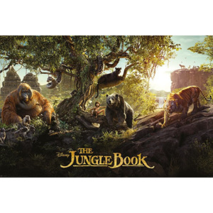 Poster - Kniha džunglí, The Jungle Book (2)