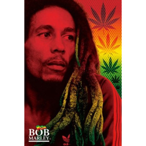 Poster - Bob Marley dreads