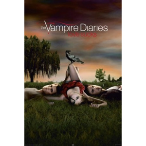 Poster - Vampire Diaries love sucks