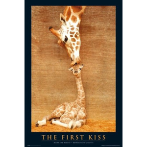 Poster - First Kiss Giraffe (2)