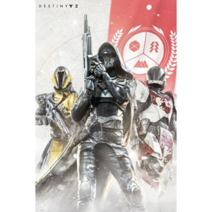 Destiny 2 - Characters Poster, (61 x 91,5 cm)
