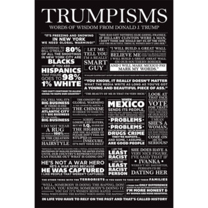 Poster - Trumpisms
