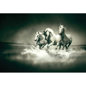 Tablou canvas: Unicorns (alb-negru) - 75x100 cm