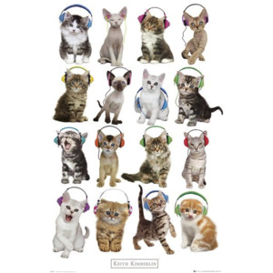 Poster - Pisicile cu căști, Keith Kimberlin