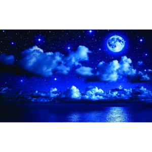 Fototapet: Noapte cu lună - 184x254 cm