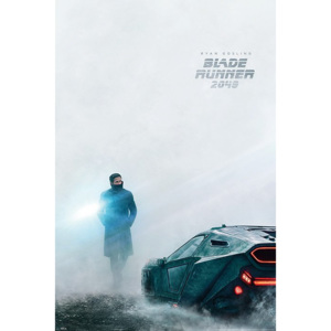 Poster - Blade Runner 2049 (1)