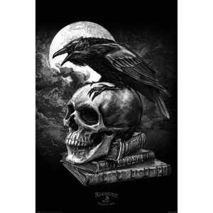 Poster - Alchemy (Poe's Raven)