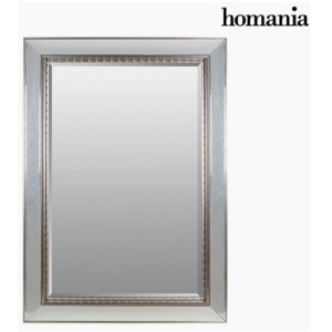 Oglindă Rășină sintetică Sticlă bizotată Argintiu (80 x 4 x 110 cm) by Homania