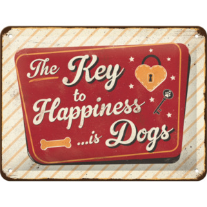 Placă metalică: The Key to Happiness - 15x20 cm