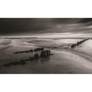 Fototapet: Coastă alb-negru - 184x254 cm