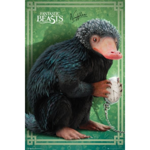 Fantastic Beasts and Where To Find Them - Niffler Poster, (61 x 91,5 cm)