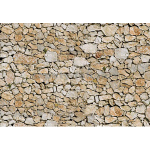 Fototapet vlies: Zid de piatră (5) - 254x368 cm