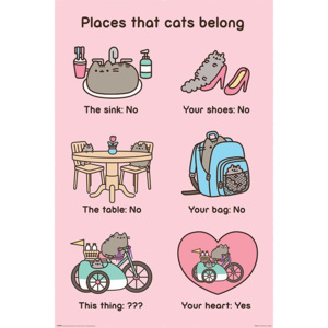 Poster - Pusheen (Places Cats Belong)