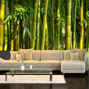 Tapet în format mare Artgeist Oriental Garden, 400 x 280 cm