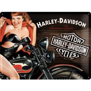 Placă metalică - Harley-Davidson (motociclist)