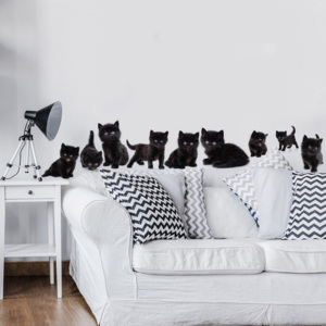 Abțibild pentru perete - Pisicuțe negre