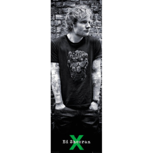 Ed Sheeran - Skull Poster, (53 x 158 cm)