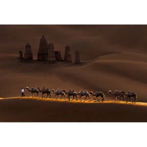 Fotografii artistice Castle and Camels, Mei Xu