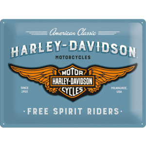 Placă metalică: Harley-Davidson (Free Spirit Riders) - 30x40 cm