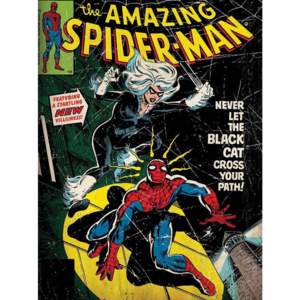 Tablou canvas: The Amazing Spider-man (comics) - 75x100 cm