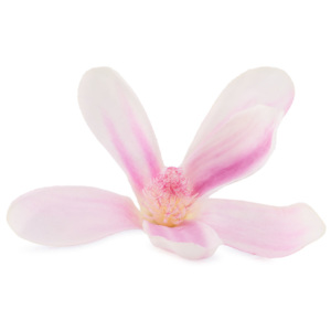 Set orhidee artificiale, roz