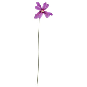 Fir floare mov, 40 cm