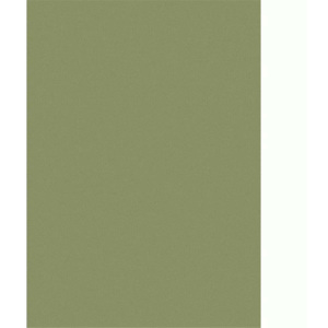 Garden Impressions Covor exterior Portmany, 120 x 170 cm, olive, 03356 03356