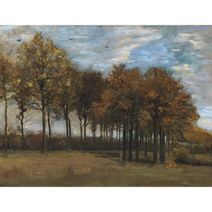 Autumn Landscape, c.1885 Reproducere, Vincent van Gogh
