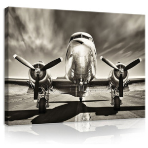 Tablou canvas: Avion (alb-negru) - 75x100 cm