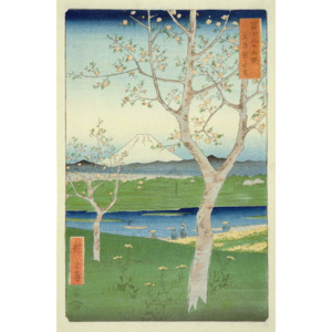 Fuji from Koshigaya, Mushashi, No.14 from the series '36 Views of Mt. Fuji', ('Fuji Saryu Rokkei'), Reproducere, Ando or Utagawa Hiroshige