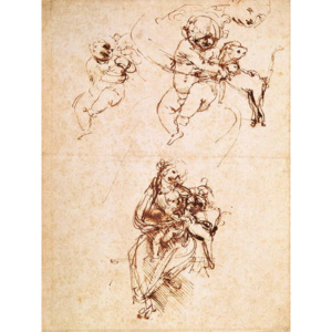 Studies for a Madonna with a Cat, c.1478-80 Reproducere, Leonardo da Vinci