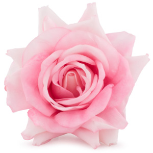 Set 6 trandafiri artificiali, roz
