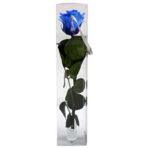 Trandafir Stabilizat Albastru, 50 cm