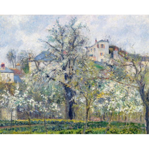 The Vegetable Garden with Trees in Blossom, Spring, Pontoise, 1877 Reproducere, Camille Pissarro