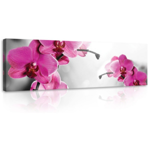 Tablou canvas: Orhideea (5) - 145x45 cm