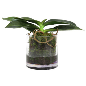 Planta artificiala cu vaza Rooted Phalaenopsis HK Living