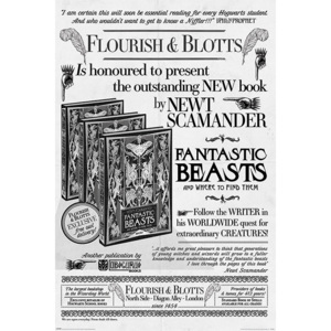 Fantastic Beasts: The Crimes Of Grindelwald - Flourish And Blotts Poster, (61 x 91,5 cm)