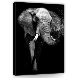Tablou canvas: Elefant alb-negru - 100x75 cm