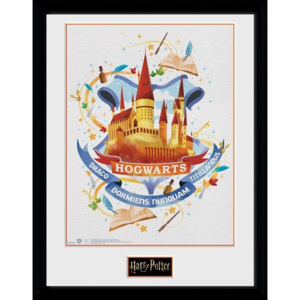 Harry Potter - Hogwarts Paint Afiș înrămat