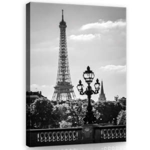 Tablou canvas: Turnul Eiffel alb-negru - 100x75 cm