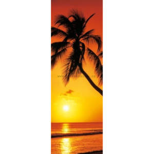 Poster - Palm Sunset